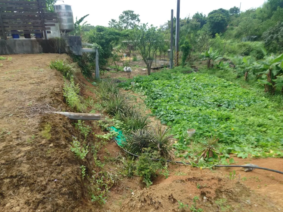 ▲一名76歲蔡姓老翁被台電人員發現倒臥農田，失去意識，經送醫搶救後仍宣告不治。（圖／警方提供）