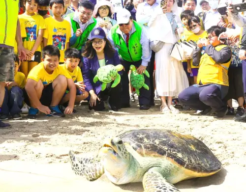 ▲海洋委員會海洋保育署攜手澎湖縣政府舉辦野放海龜行動，海洋委員會主任委員管碧玲、澎湖縣長陳光復等人，以保育力量，一起送海龜回家。(圖／海洋保育署提供)