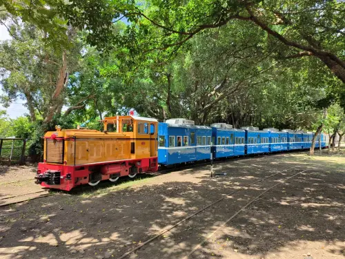 ▲蒜糖五分車於2022年延駛至高鐵嘉義站，隔年再延駛至故宮南院，成功整合嘉義在地文化與觀光資源。（圖／台糖提供）