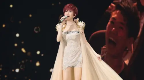 ▲江蕙宣布台北小巨蛋回歸演唱會加開3場，6月17日開放售票。（圖／寬宏提供）