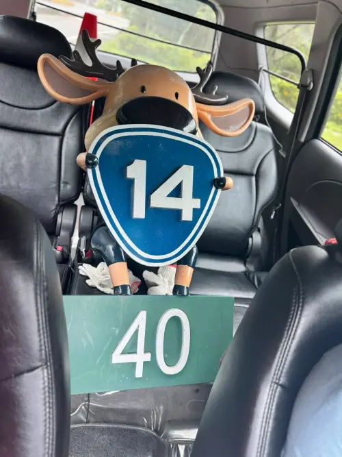 有夠可愛!南投「一世是你」小鹿進場維修 繫安全帶萌樣曝光 ▲「1440」小鹿要進廠維修了,預計7月可再次亮麗登場。(圖/翻攝公路局中區養護分局粉專,2025.06.17)