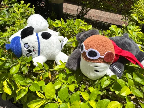 立體鯊魚夾髮飾(共2款),加價購199元,立體鯊魚夾髮飾。(圖/記者鍾怡婷攝) ▲立體鯊魚夾髮飾(共2款),加價購199元,立體鯊魚夾髮飾。(圖/記者鍾怡婷攝)