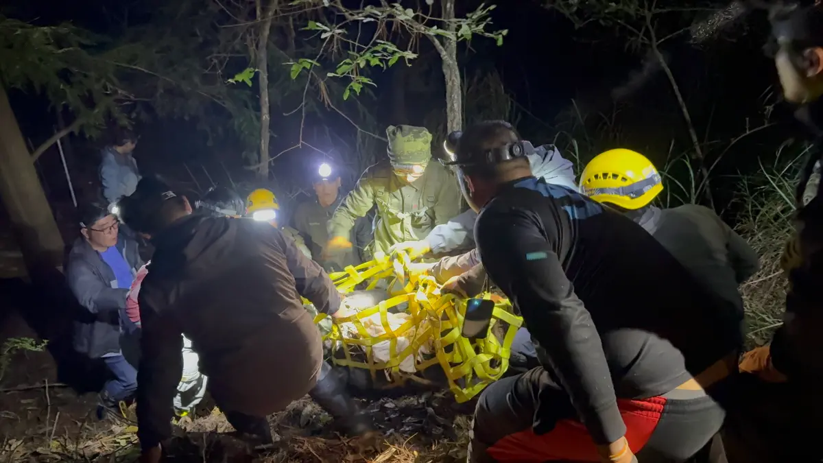 ▲獸醫師將黑熊麻醉後，救援團隊合力搬運黑熊。（圖／林業署台中分署提供，2025.06.18）