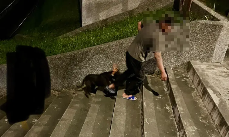 ▲昨（17）日晚間8點，在花蓮尚志橋下美崙溪河畔又發生比特犬攻擊事件。（圖／花蓮同鄉會）