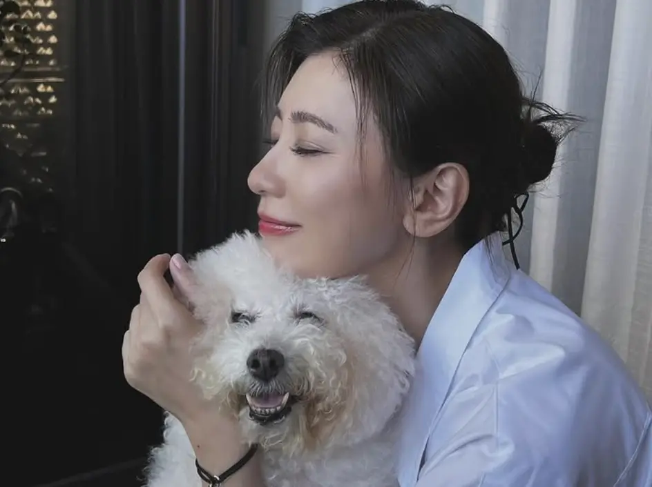 ▲賈靜雯愛犬miu miu過世，她深夜在IG發文「好想祢」，引來許多粉絲留言安慰。（圖／翻攝自賈靜雯IG）