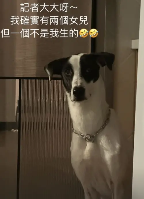 ▲原來是誤將翁馨儀的愛犬當作「第2個女兒」。（圖／翻攝自翁馨儀IG）