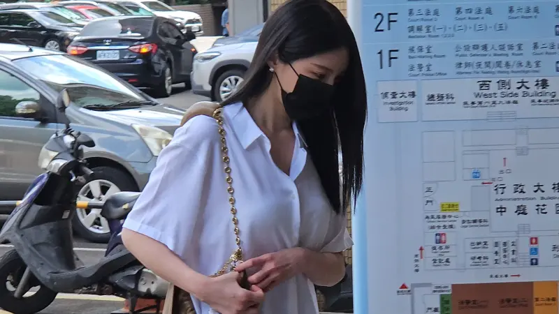 ▲藝人王大陸女友闕沐軒到新北地院出庭。(圖/記者劉松霖攝)