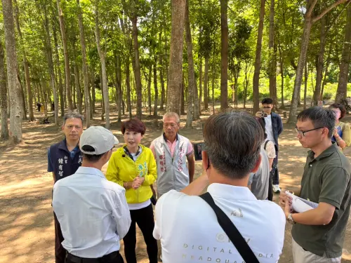 ▲今（6/19）陳亭妃主動召開跨部會現勘，前往虎山實驗小學的牛稠子遺址。（圖／陳亭妃提供）