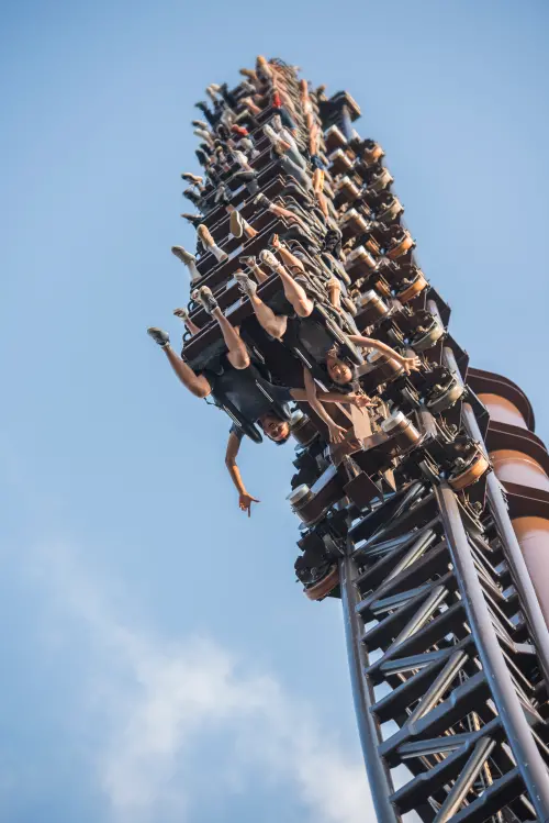 ▲官網限定優惠，六福村暢遊票1199元、水陸雙樂園優惠價1400元。（圖／六福村提供）