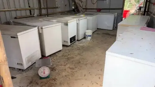▲現場有6個冰櫃裝滿野生動物遺體。（圖／新竹縣流浪動物珍愛協會提供）