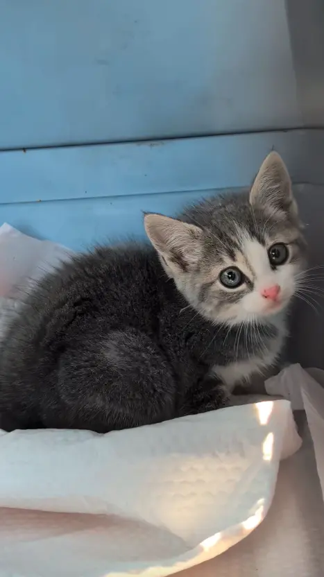 ▲（圖／翻攝自臉書「John Debacker」）