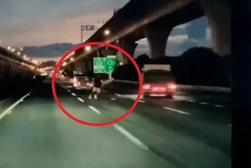 國道連環事故釀三傷　大貨車為閃揮手男失控翻覆三圈　驚悚畫面曝
