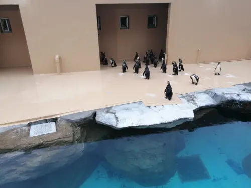 ▲（圖／取自X）