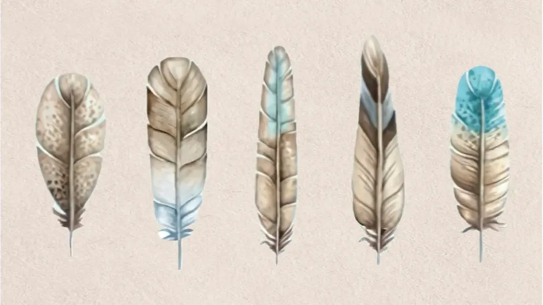 ▲熱門的心理測驗，憑直覺選一根羽毛，就能看出你內心隱藏的另一面性格。（圖／取自「IESGO心理」）