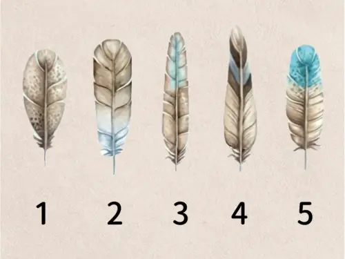 ▲憑直覺選1根羽毛，看出你內心隱藏不為人知的個性。（圖／取自「IESGO心理」）