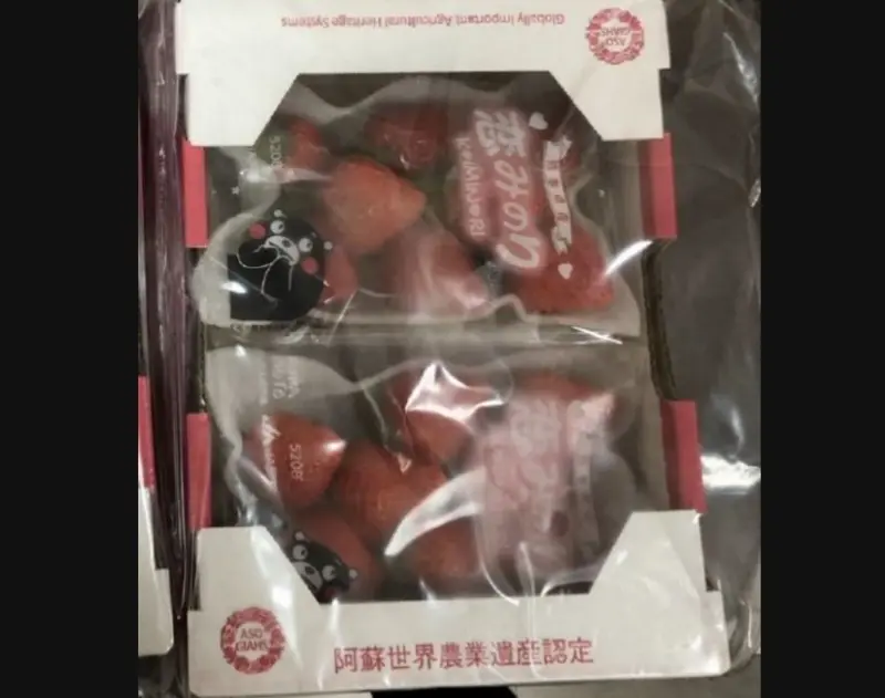 ▲食藥署公布「114年3至4月市售蔬果農產品農藥殘留監測結果」。（圖／食藥署提供）