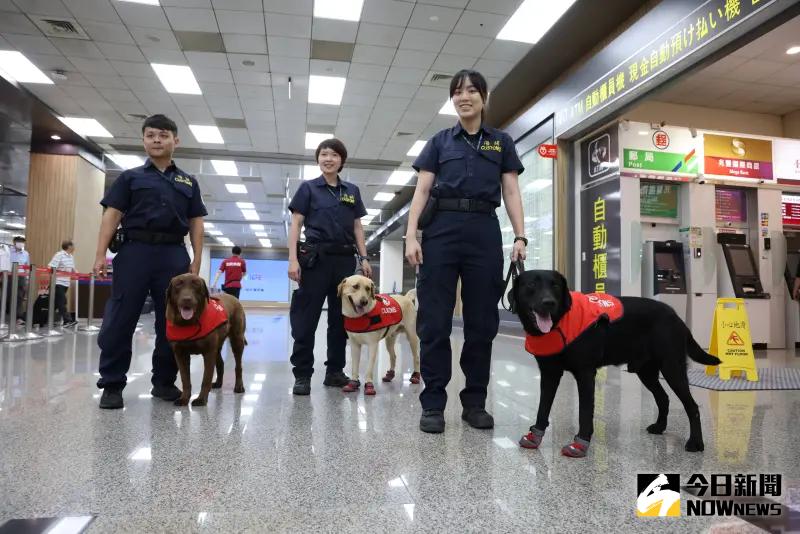 ▲執勤犬包括經訓練或測驗合格之檢疫犬、緝毒犬、警犬、搜救犬、國防軍犬及偵搜犬,執勤犬。(圖/記者吳翊緁攝)