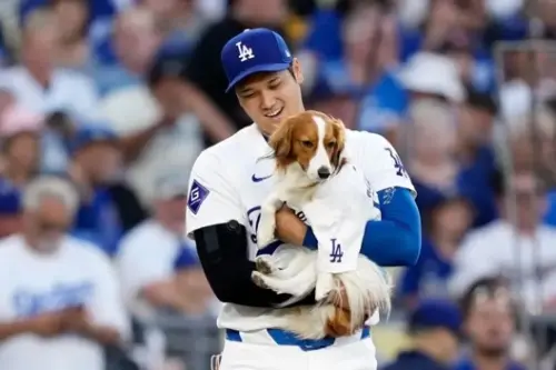MLB/大谷翔平愛犬出《遊戲王》卡片稀有珍寶!粉絲直呼太可愛