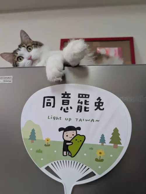 ▲插畫家BB的「台派寶寶」圖像，各種宣傳圖案令人眼睛一亮。（圖／翻攝罷團「展翅廢翔」臉書，2025.06.24）