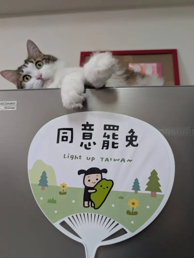 ▲插畫家BB的「台派寶寶」圖像，各種宣傳圖案令人眼睛一亮。（圖／翻攝罷團「展翅廢翔」臉書，2025.06.24）