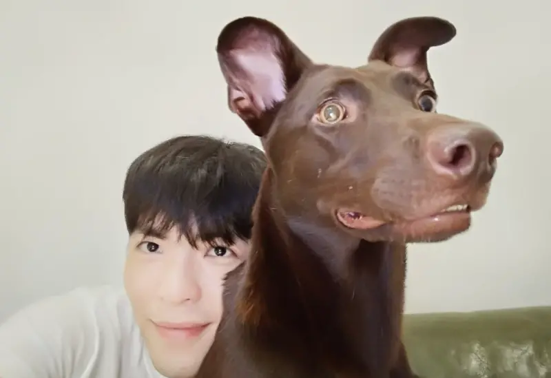 ▲蕭敬騰愛犬「嘎比」離世，他透露當時正在深圳工作，得知噩耗時和Summer哭了許久。（圖／翻攝自蕭敬騰IG）