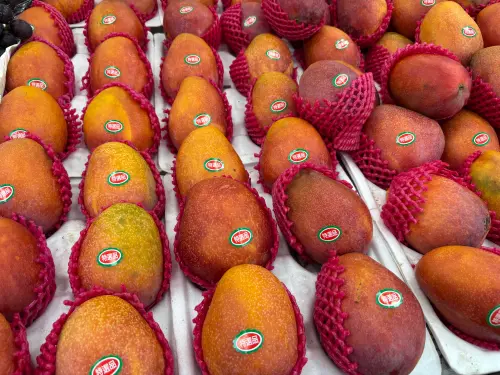 ▲芒果,愛文,夏天,水果(圖/記者徐銘穗攝) ▲芒果,愛文,夏天,水果(圖/記者徐銘穗攝)