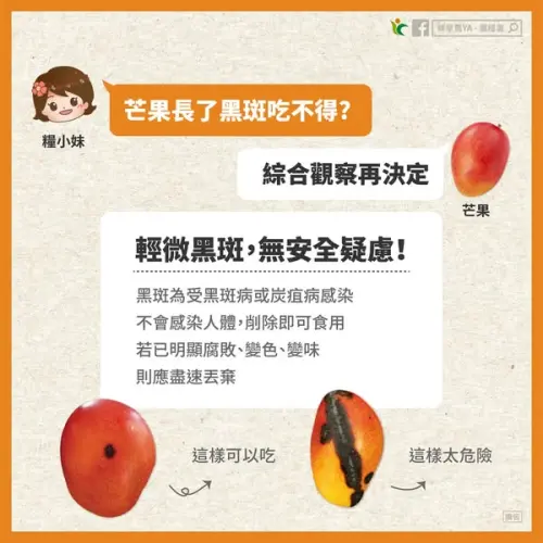 ▲芒果長黑斑,如果是輕微受損,只要切除相關部位後還是可以吃,沒有安全疑慮,但如果已經有明顯腐敗、變色變味等情形,就不要再吃了。(圖/鮮享農YA - 農糧署臉書) ▲芒果長黑斑,如果是輕微受損,只要切除相關部位後還是可以吃,沒有安全疑慮,但如果已經有明顯腐敗、變色變味等情形,就不要再吃了。(圖/鮮享農YA - 農糧署臉書)