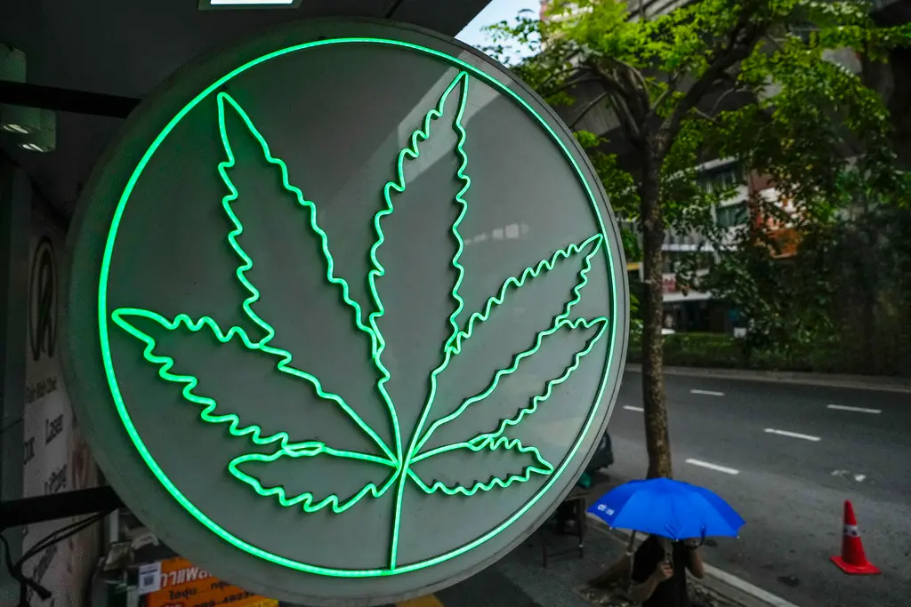 大麻濃度飆10倍！精神病風險激增  男子用後「聽見外星人耳語」