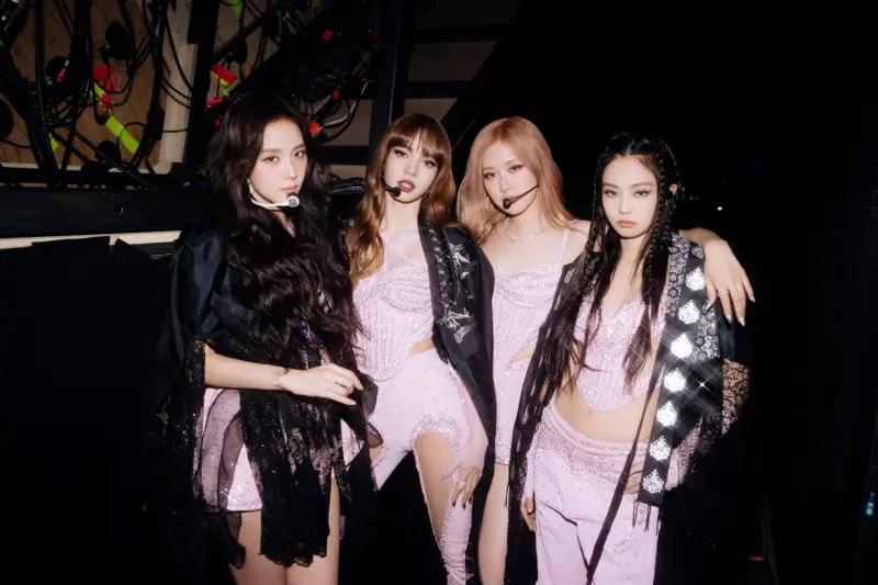 BLACKPINK演唱會「花錢看螢幕」！全程被擋粉絲氣炸　YG道歉認賠