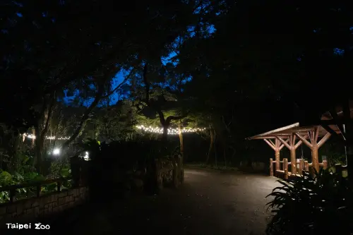 ▲讓孩子看見夜晚的動物園絕對是永生難忘的體驗！（圖／台北市立動物園）