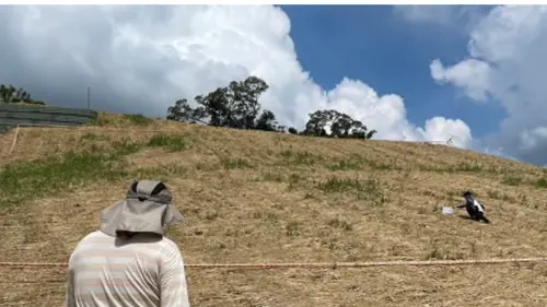 「光電板吃山林」陳其邁震怒 檢察官勘查驚見禿頭山 ▲檢察官勘查和山光電開發案現場,山坡地嚴重水土流失裸露大片黃土。(圖/橋頭地檢署提供)