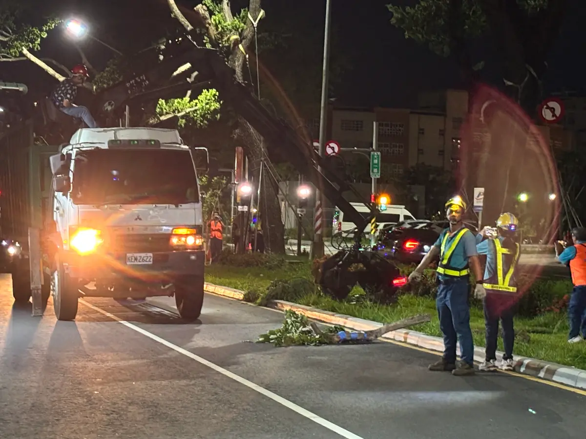 ▲捷運局、警察局(含捷警隊)及高捷公司，共同進行汛期樹木傾倒造成輕軌列車無法通行之防災模擬演練。（圖／高市府捷運局提供）