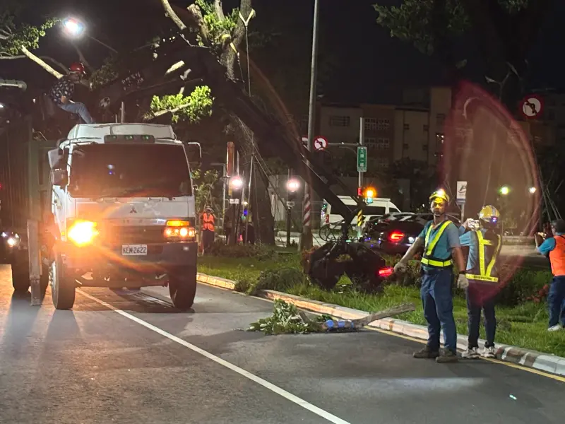 ▲捷運局、警察局(含捷警隊)及高捷公司，共同進行汛期樹木傾倒造成輕軌列車無法通行之防災模擬演練。（圖／高市府捷運局提供）