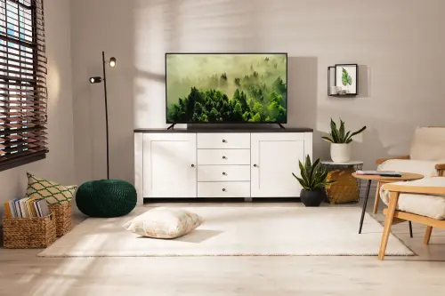 ▲電視（圖／翻攝自全國電子官網）