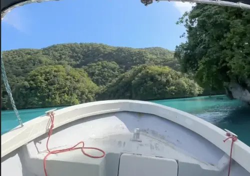 牛奶湖之所以呈現牛奶般的色澤,是因為湖底堆積了大量白色礦物泥。(圖/翻攝自X) ▲牛奶湖之所以呈現牛奶般的色澤,是因為湖底堆積了大量白色礦物泥。(圖/翻攝自X)