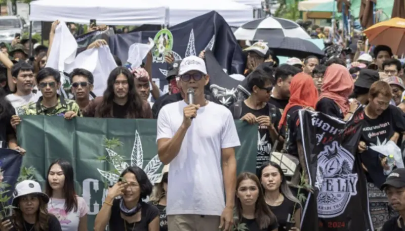 ▲泰國政府擬收緊大麻政策，民間團體「書寫泰國大麻未來網絡」將於7月7日發起大規模抗議。（圖／翻攝自臉書）