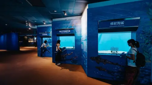 ▲「夏日海洋季-福爾摩『鯊』之旅」限期鯊魚展區。(圖/海生館提供) ▲「夏日海洋季-福爾摩『鯊』之旅」限期鯊魚展區。(圖/海生館提供)