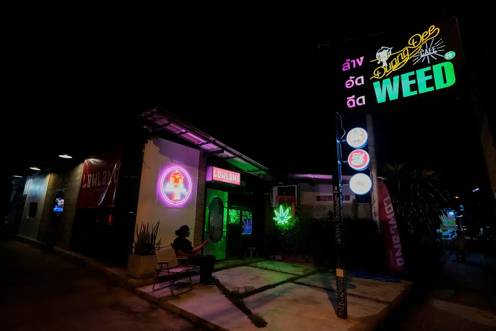 ▲泰國大麻合法化政策將緊縮，未來僅允許醫療用途購買大麻。（圖／美聯社／達志影像）