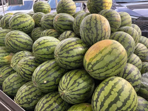 西瓜。(圖/記者徐銘穗攝) ▲西瓜。(圖/記者徐銘穗攝)