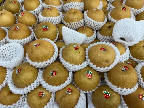 ▲水梨,水果（圖／記者徐銘穗攝）