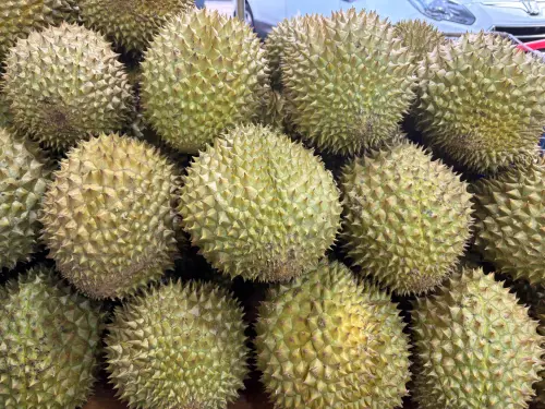 ▲榴槤,水果（圖／記者徐銘穗攝）