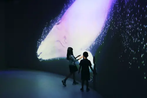 科博館《鯨掘》特展開展 揭開臺灣鯨豚萬年記憶 ▲展場還設置一座沉浸式科技藝術劇場,運用環場投影、新媒體藝術,演繹鯨魚從誕生到鯨落的生命循環。(圖/科博館提供)