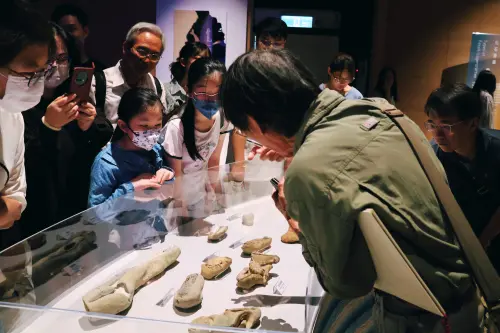 科博館《鯨掘》特展開展 揭開臺灣鯨豚萬年記憶 ▲蓬萊化石館館長林景文無償出借34件來自恆春西台地的珍貴化石標本,圖為林館長親自向觀眾介紹化石。(圖/科博館提供)