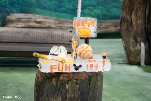 ▲「圓寶」5歲生日的特製冰塊蛋糕模樣。