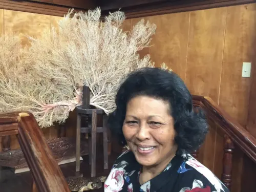 ▲目前帛琉最知名的女王之一是多羅西·托雷斯（Dorothy Torres）。（圖／翻攝自X）