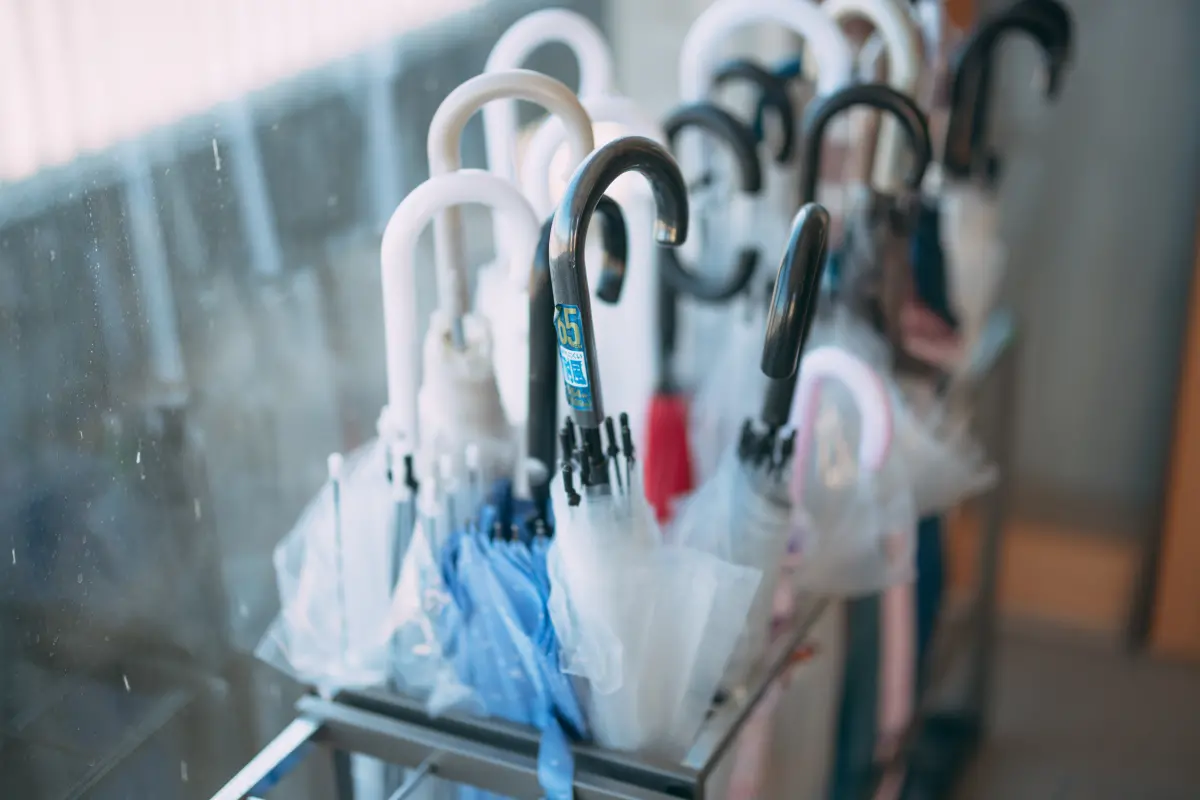 桃園市放假！通勤族到雙北上班狼狽又崩潰：6點冒雨出門公車停駛