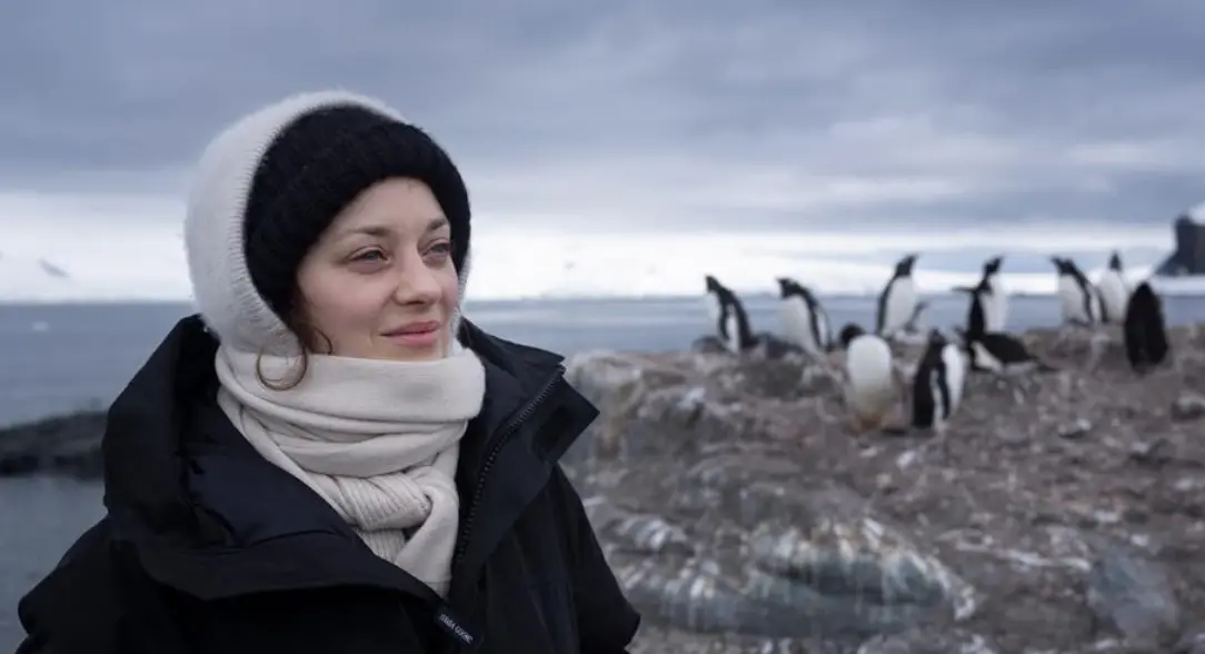 ▲曾出演知名電影《終極殺陣》49歲法國影后瑪莉詠柯蒂亞（如圖）與導演吉約姆卡內宣布結束18年戀情，兩人雖未婚卻育有一雙兒女，聲明強調和平分開、彼此保有善意。不過其實今年年初，柯蒂亞獨自現身柏林影展時，外界就已開始質疑她的婚姻狀況是否有所變動。（圖／瑪莉詠柯蒂亞 IG）