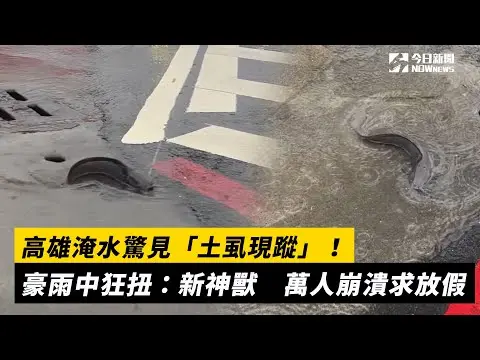 高雄淹水驚見「土虱現蹤」！豪雨中狂扭：新神獸　萬人崩潰求放假｜NOWnews