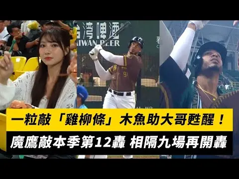中職／一粒敲「雞柳條」木魚助大哥甦醒！魔鷹敲本季第12轟 相隔九場再開轟｜NOWnews