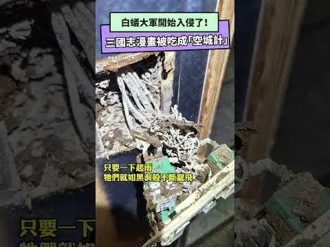 白蟻大軍開始入侵了！三國志漫畫被吃成「空城計」　驅蟲專家傻眼｜NOWnews